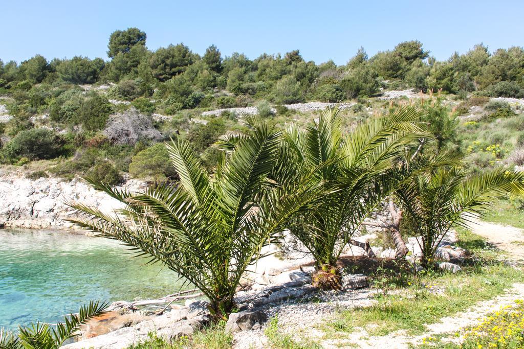 Vila Tatinja Τρογκίρ Εξωτερικό φωτογραφία